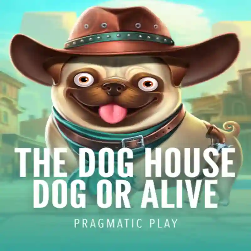 Juego Dog House Dog & Alive en tesoro777